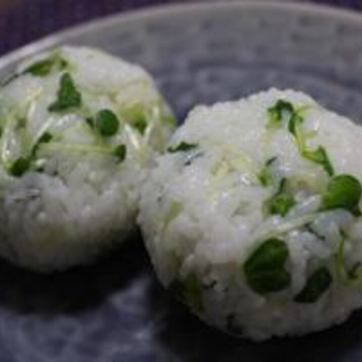 カイワレ大根のおにぎり